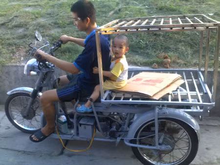 Lồng sắt bảo vệ. Lồng sắt bảo vệ.
