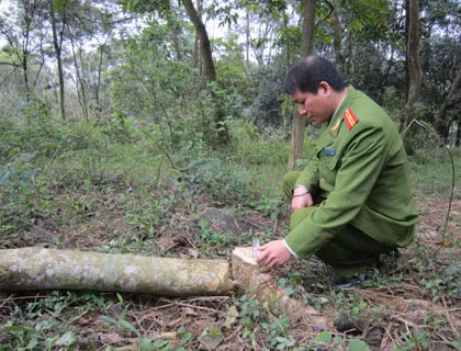Ảnh minh họa. (Nguồn: Internet)