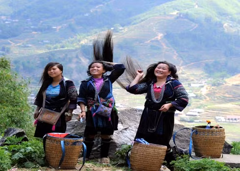 Phút nghỉ ngơi bên bìa rừng của những thiếu nữ Mông ở Sa Pa.