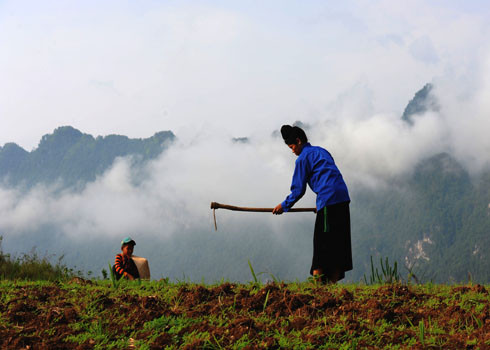 Lên nương từ tờ mờ sáng giữa màn sương bao phủ núi rừng.