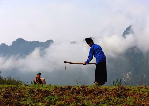 Lên nương từ tờ mờ sáng giữa màn sương bao phủ núi rừng.