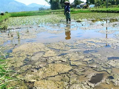 Ảnh minh họa: Nguyễn Huy/ Tiền Phong.