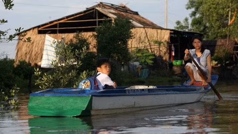 Để tiết kiệm xăng, dầu nhiều gia đình không dùng máy mà chèo xuồng bằng tay đưa con đến trường. Để tiết kiệm xăng, dầu nhiều gia đình không dùng máy mà chèo xuồng bằng tay đưa con đến trường.