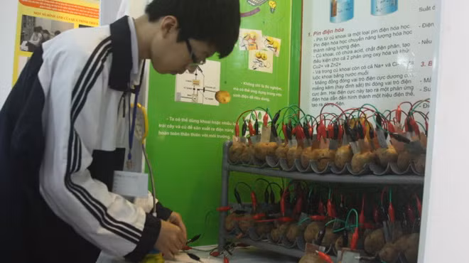 Đỗ Hoàng Hải, học sinh Trường THPT Việt Đức - Hà Nội, thành viên nhóm nghiên cứu chế tạo pin từ củ khoai tây với đề tài được giải ba hội thi khoa học, kỹ thuật cấp quốc gia năm 2012 Đỗ Hoàng Hải, học sinh Trường THPT Việt Đức - Hà Nội, thành viên nhóm nghiên cứu chế tạo pin từ củ khoai tây với đề tài được giải ba hội thi khoa học, kỹ thuật cấp quốc gia năm 2012