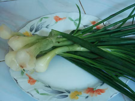 Dùng cây hành cả rễ, thân, lá một nắm đem nướng chín giã nát rồi đắp vào vết thương do ngã hoặc bị đánh mà bầm dập, đau đớn rất hiệu nghiệm.