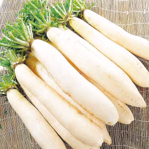 Dùng củ cải trắng (cải củ) rửa sạch, giã nát đắp lên vết thương hoặc cắt ngang củ cải, chấm vào muối xát nhẹ lên vết bầm tụ máu sẽ tan nhanh.