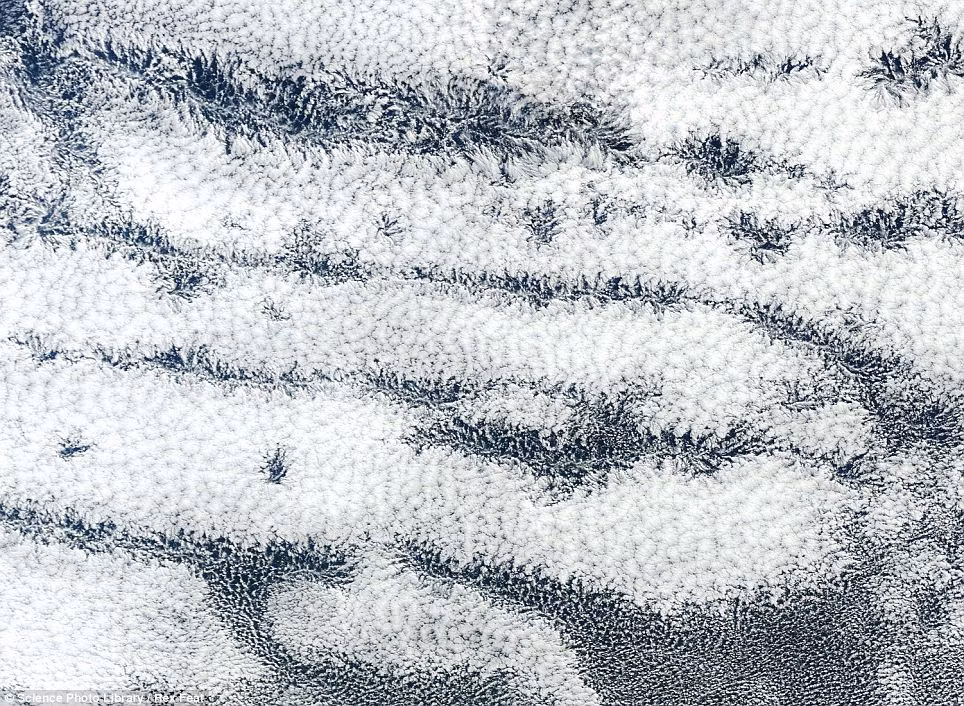 Mây Actinoform