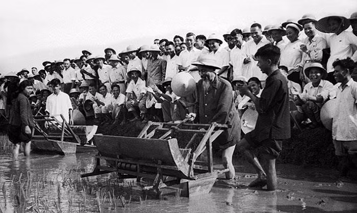 Chủ tịch Hồ Chí Minh đến thăm Sở Nông Lâm Hà Nội và sử dụng thử chiếc máy cấy tại ruộng thí nghiệm của Sở (7/1960). (Nguồn: Tư liệu TTXVN) Chủ tịch Hồ Chí Minh đến thăm Sở Nông Lâm Hà Nội và sử dụng thử chiếc máy cấy tại ruộng thí nghiệm của Sở (7/1960). (Nguồn: Tư liệu TTXVN)