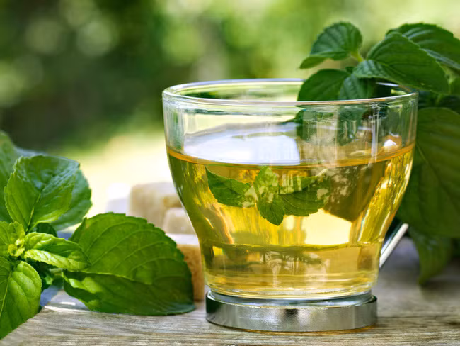 Trà bạc hà có công dụng vô cùng tuyệt vời.