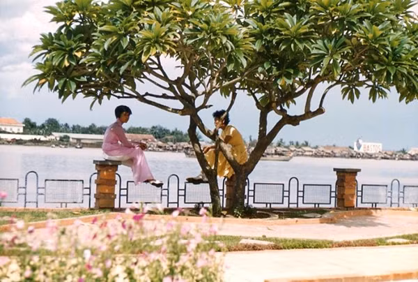 Bến Bạch Đằng
