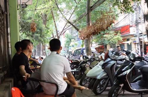 Vợt châu chấu, hốt bạc 60 triệu đ/tháng, Tin tức trong ngày, nghe vot chau chau, chau chau,chim canh ,chim, mua chau chau, moi chim