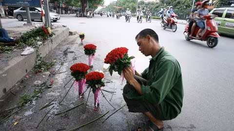Những bó hồng được bó khéo léo giữa lòng đường.