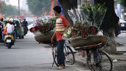 Hình ảnh đẹp của những chiếc xe đạp chở hoa bởi những phụ nữ đội nón lá từ lâu đã trở thành quen thuộc đang được thêm vào bởi những người đàn ông tần tảo và không kém phần khéo léo.