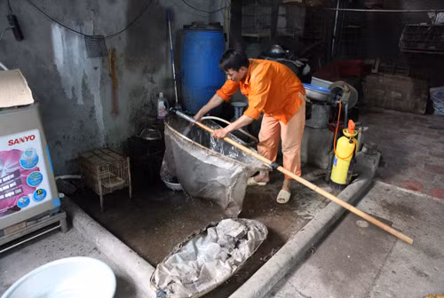 Vợt châu chấu, hốt bạc 60 triệu đ/tháng, Tin tức trong ngày, nghe vot chau chau, chau chau,chim canh ,chim, mua chau chau, moi chim