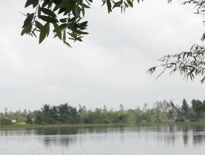 Cánh đồng nuôi tôm quảng canh ở Thới Bình, Cà Mau. Lợi dụng nơi chòi canh vắng vẻ, cụ Cung đã "chơi trò mèo chuột" với bé gái tuổi 15. Cánh đồng nuôi tôm quảng canh ở Thới Bình, Cà Mau. Lợi dụng nơi chòi canh vắng vẻ, cụ Cung đã "chơi trò mèo chuột" với bé gái tuổi 15.