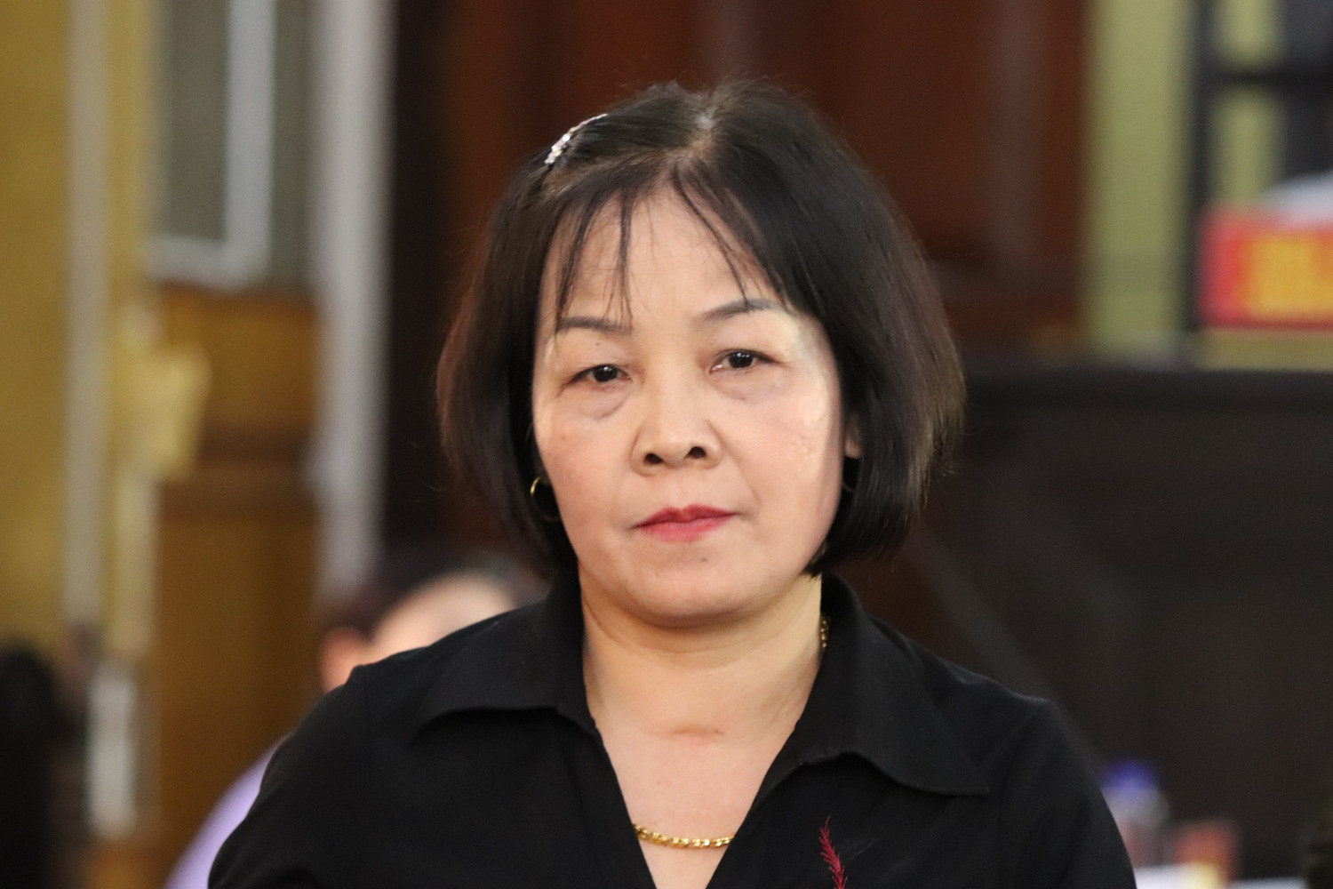 Bà Nguyễn Thị Kim. Ảnh: Vũ Phương. Bà Nguyễn Thị Kim. Ảnh: Vũ Phương.