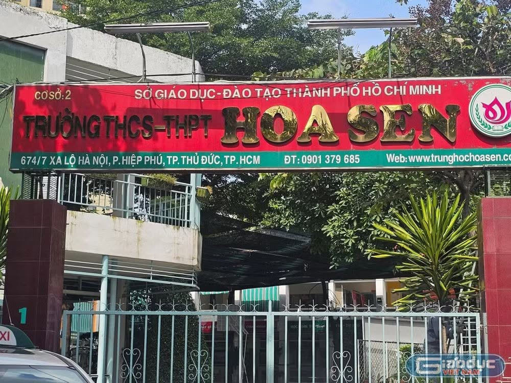 hoasenthpt.jpg
