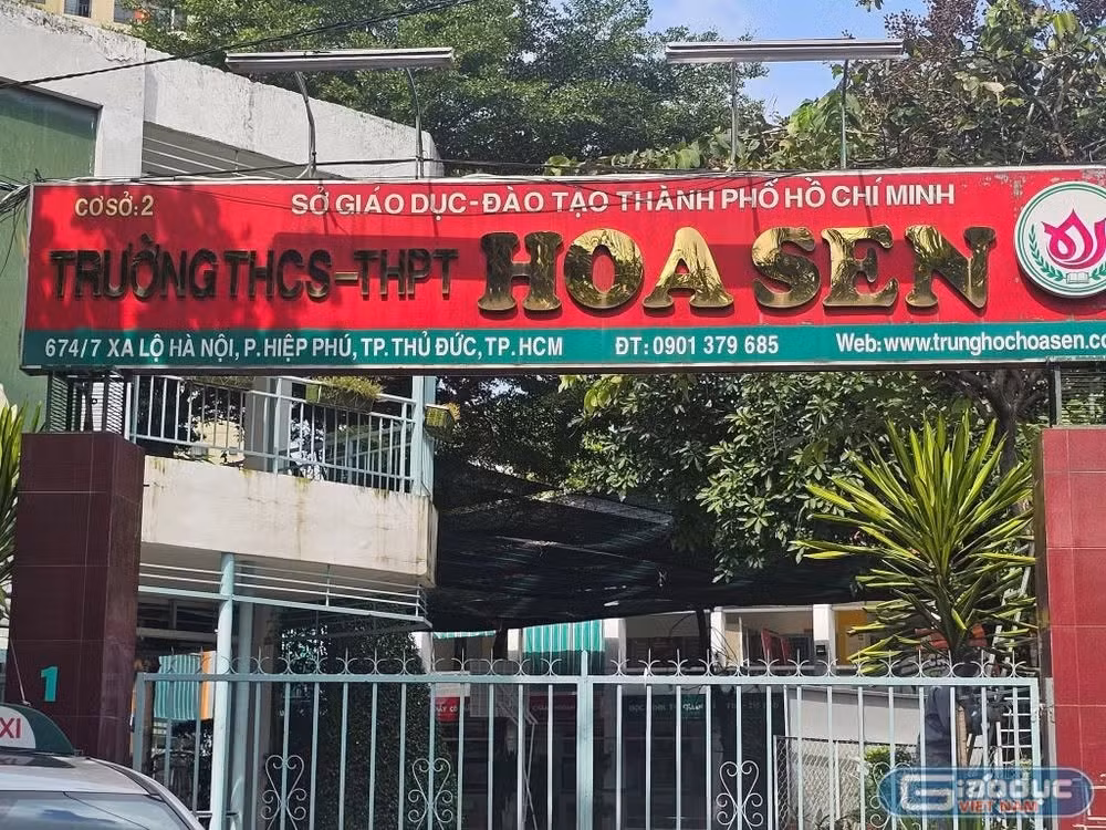 hoasenthpt.jpg