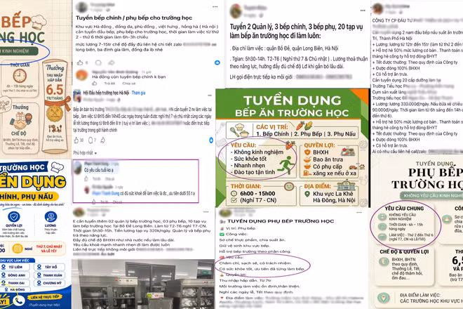 Lo lắng về suất ăn trường học khi công ty cung cấp ồ ạt tuyển dụng, chất lượng nhân sự bỏ ngỏ