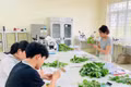 CSGDĐH nói gì về đề xuất miễn học phí ngành nông, lâm, thủy sản?