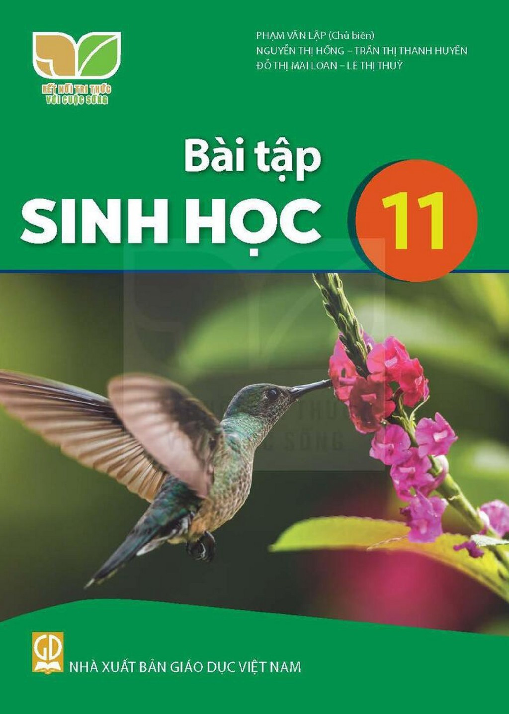 bai-tap-sinh-hoc-11-kntt-0.jpg