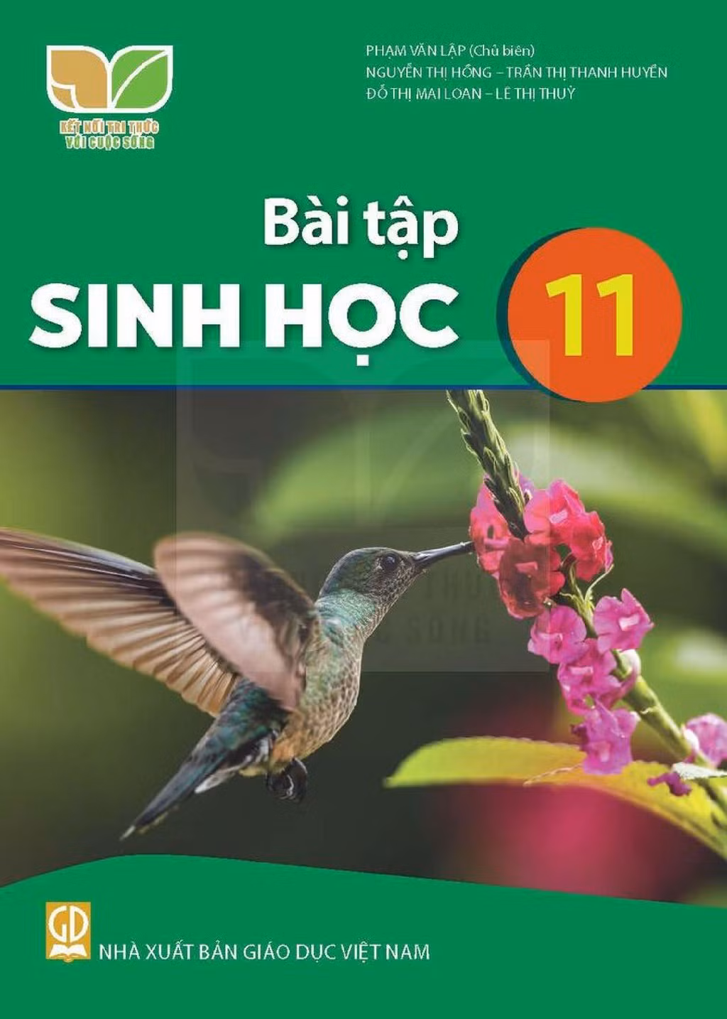 bai-tap-sinh-hoc-11-kntt-0.jpg